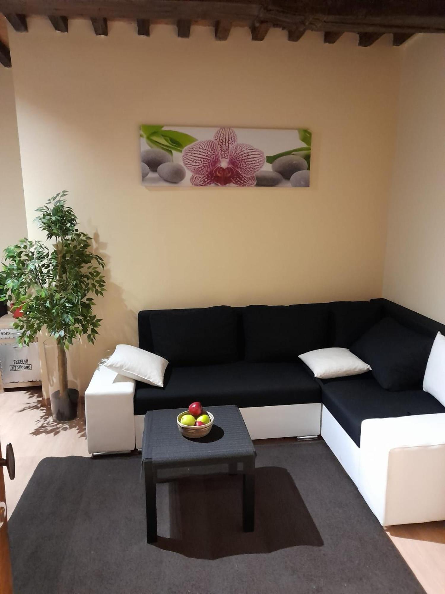 Cute,cosy,comfortable Studio In The Heart Of Apartment